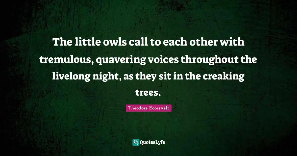 The little owls call to each other with tremulous, quavering voices throughout the livelong night, as they sit in the creaking trees.