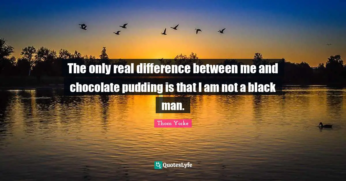 The only real difference between me and chocolate pudding is that I am not a black man.