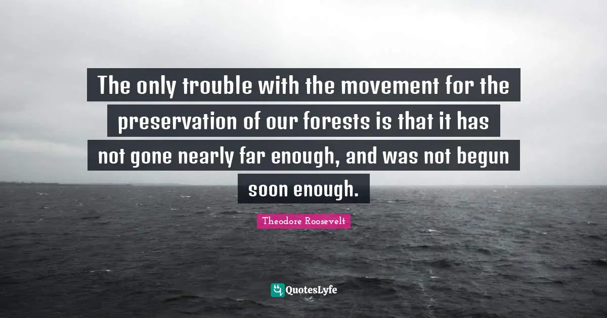 The only trouble with the movement for the preservation of our forests is that it has not gone nearly far enough, and was not begun soon enough.
