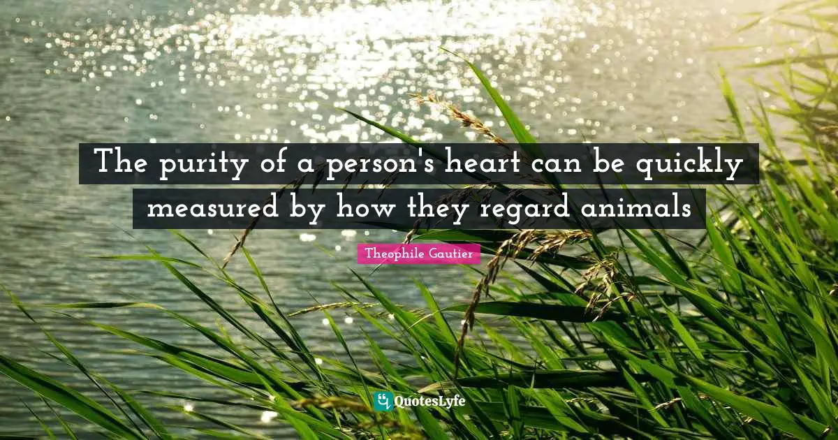 The purity of a person's heart can be quickly measured by how they regard animals