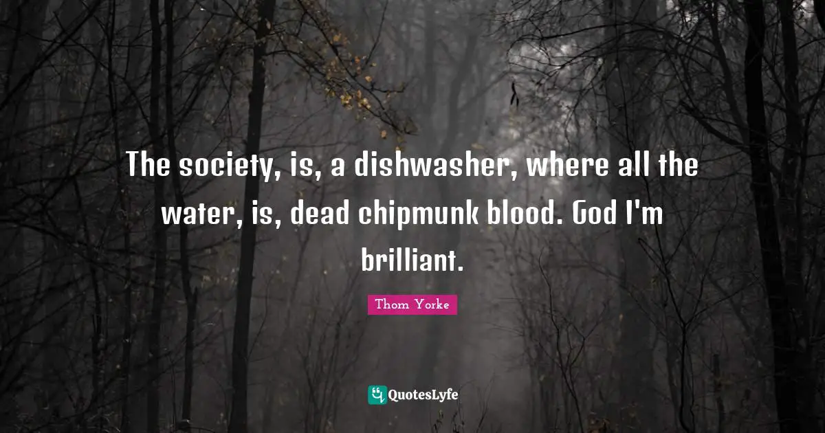 The society, is, a dishwasher, where all the water, is, dead chipmunk blood. God I'm brilliant.