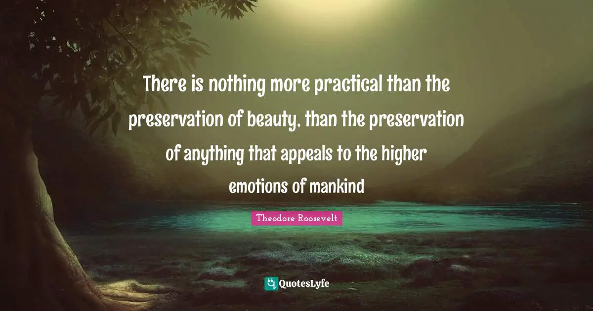 There is nothing more practical than the preservation of beauty, than the preservation of anything that appeals to the higher emotions of mankind