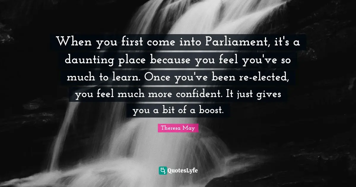Boost Quotes: "When you first come into Parliament, it's a daunting place because you feel you've so much to learn. Once you've been re-elected, you feel much more confident. It just gives you a bit of a boost."