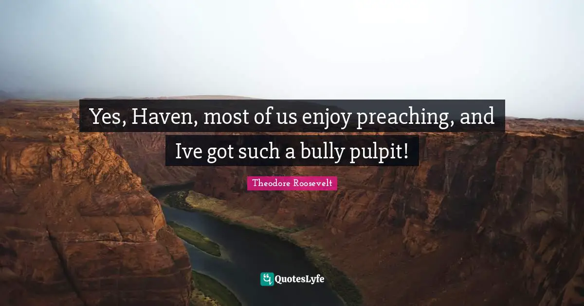 Yes, Haven, most of us enjoy preaching, and Ive got such a bully pulpit!