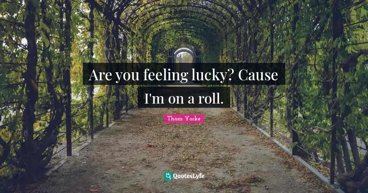 Are you feeling lucky? Cause I'm on a roll.