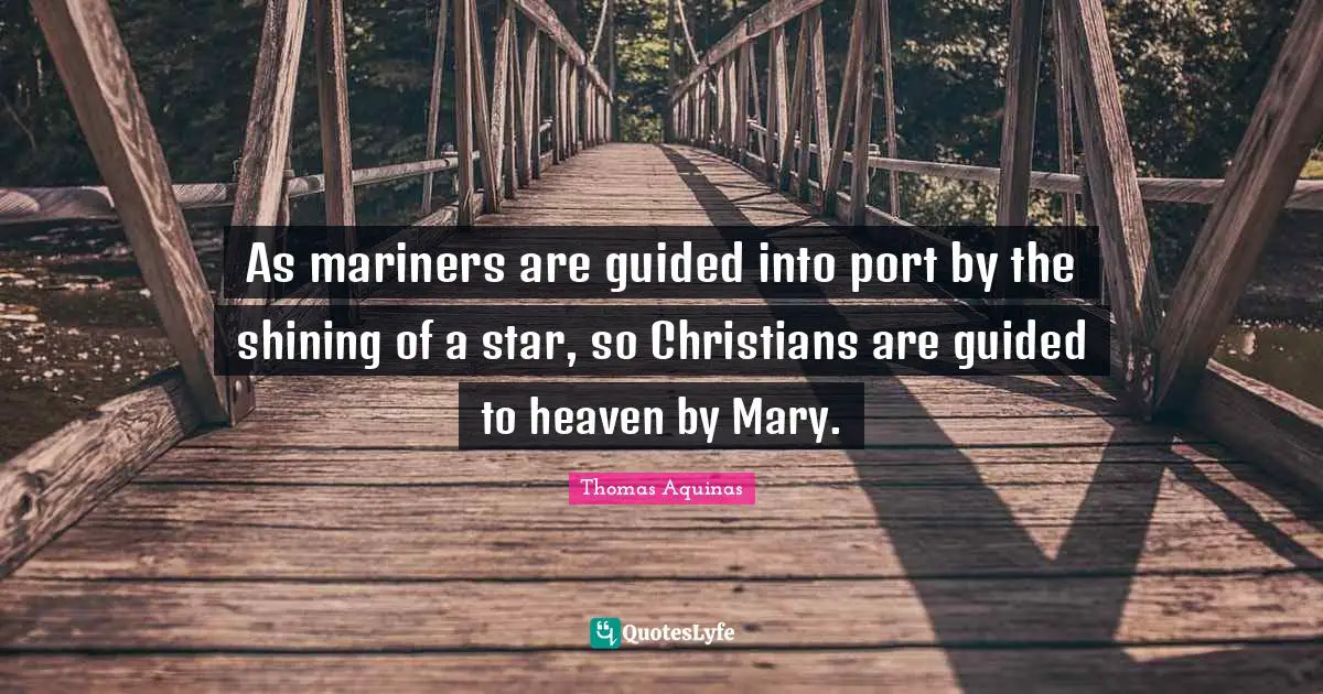 As mariners are guided into port by the shining of a star, so Christians are guided to heaven by Mary.