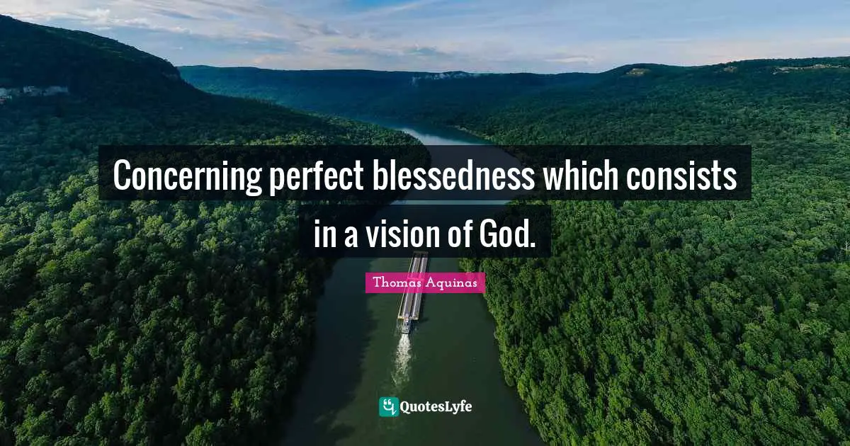 Concerning perfect blessedness which consists in a vision of God.