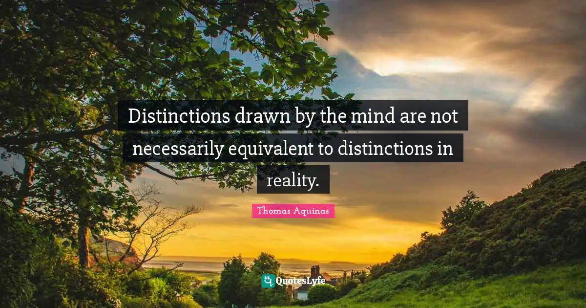 Distinctions drawn by the mind are not necessarily equivalent to distinctions in reality.