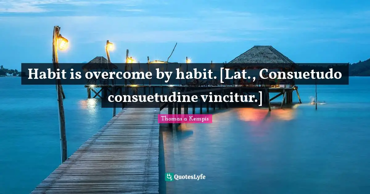 Habit is overcome by habit. [Lat., Consuetudo consuetudine vincitur.]