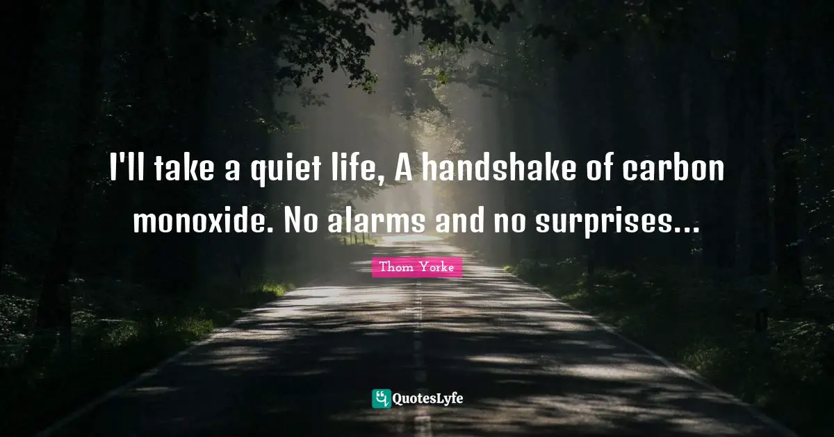 I'll take a quiet life, A handshake of carbon monoxide. No alarms and no surprises...