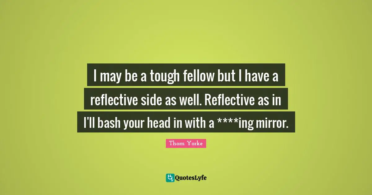 I may be a tough fellow but I have a reflective side as well. Reflective as in I'll bash your head in with a ****ing mirror.