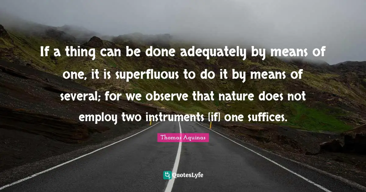 If a thing can be done adequately by means of one, it is superfluous to do it by means of several; for we observe that nature does not employ two instruments [if] one suffices.