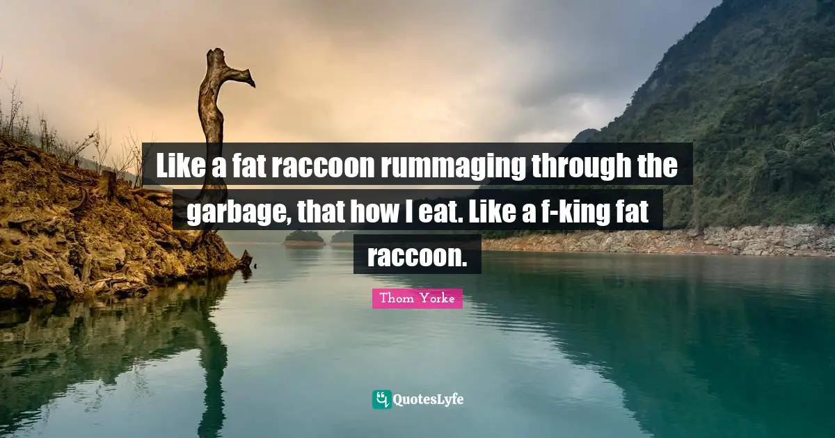 Like a fat raccoon rummaging through the garbage, that how I eat. Like a f-king fat raccoon.