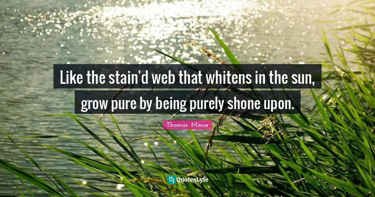 Like the stain'd web that whitens in the sun, grow pure by being purely shone upon.
