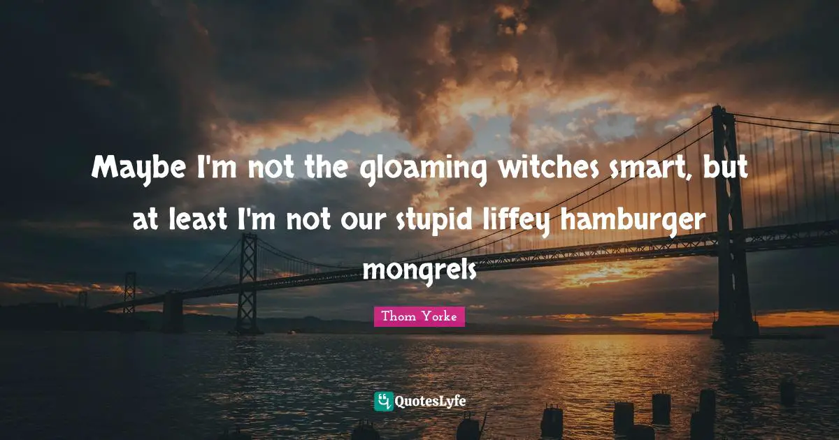 Hamburgers Quotes: "Maybe I'm not the gloaming witches smart, but at least I'm not our stupid liffey hamburger mongrels"