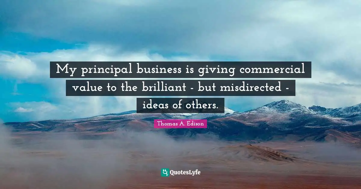 My principal business is giving commercial value to the brilliant - but misdirected - ideas of others.