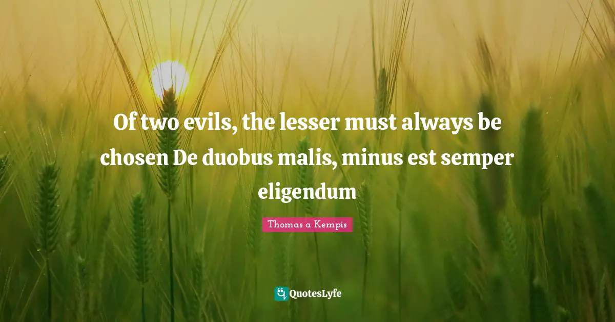Of two evils, the lesser must always be chosen De duobus malis, minus est semper eligendum