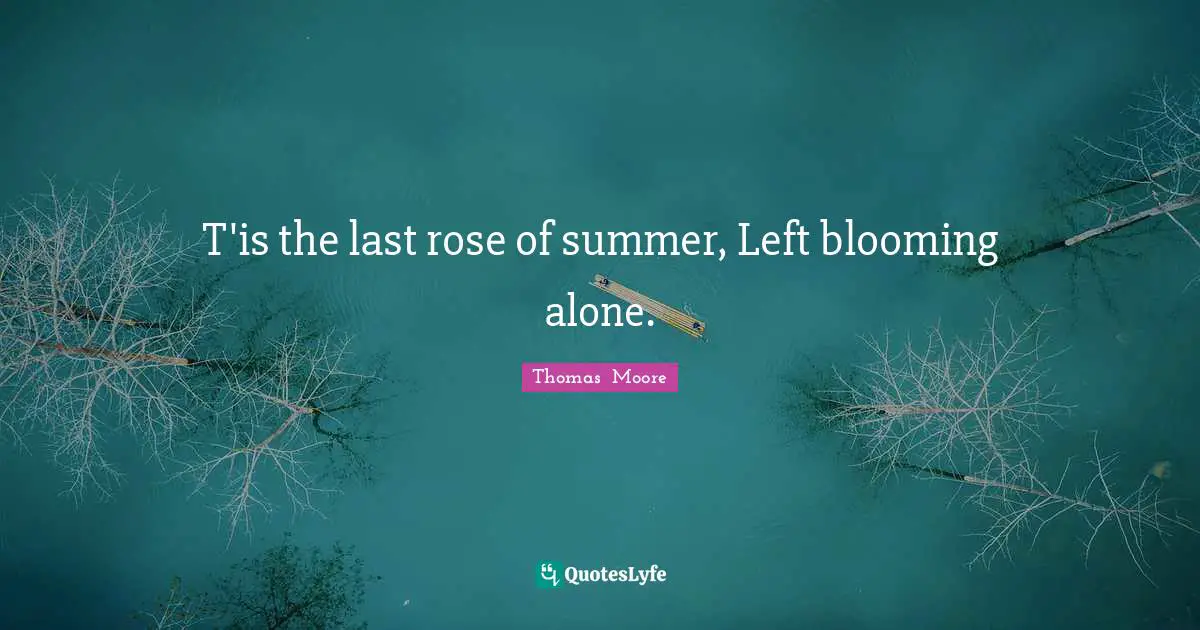 T'is the last rose of summer, Left blooming alone.