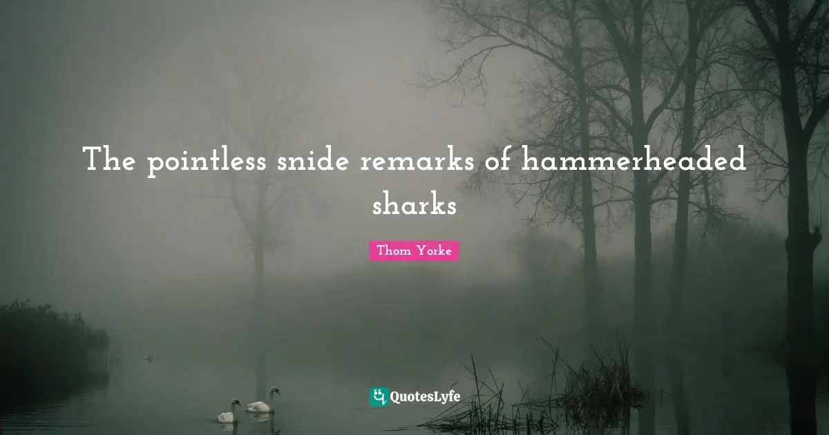 The pointless snide remarks of hammerheaded sharks