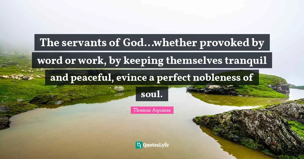 The servants of God...whether provoked by word or work, by keeping themselves tranquil and peaceful, evince a perfect nobleness of soul.