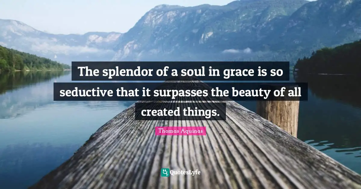 The splendor of a soul in grace is so seductive that it surpasses the beauty of all created things.