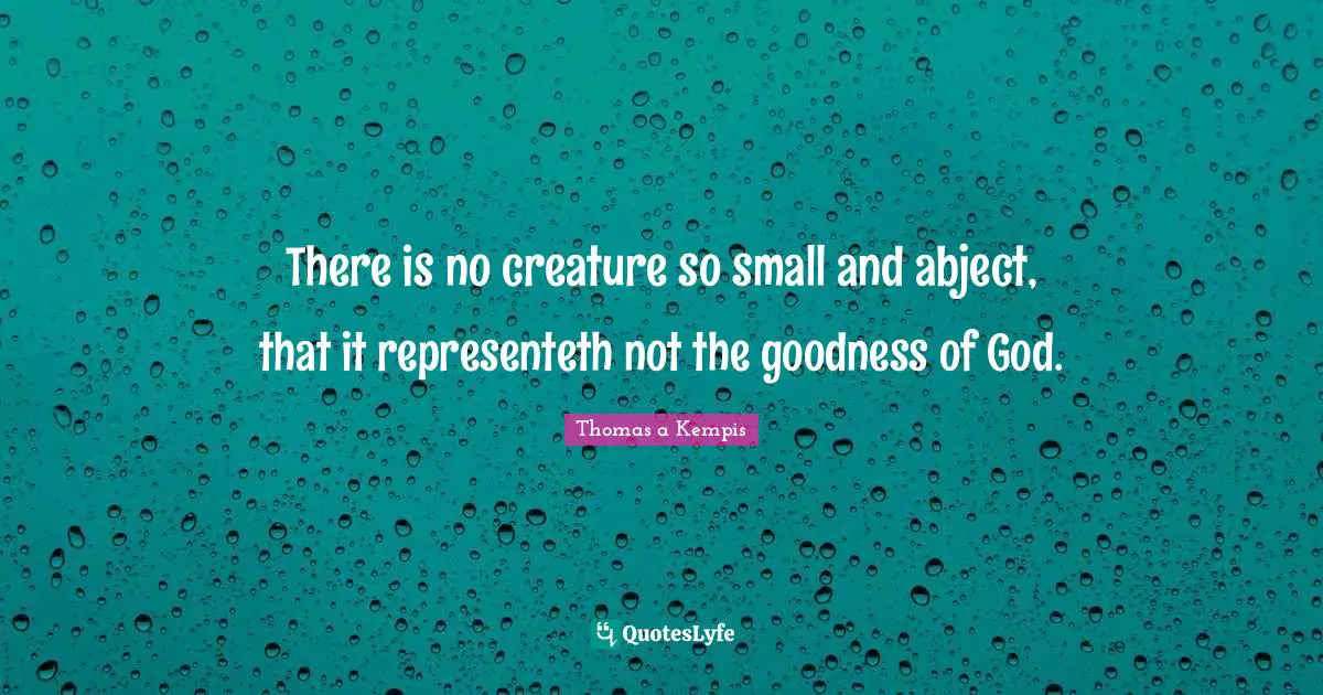 There is no creature so small and abject, that it representeth not the goodness of God.