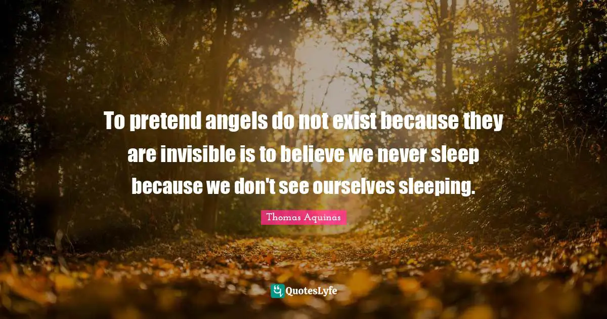 To pretend angels do not exist because they are invisible is to believe we never sleep because we don't see ourselves sleeping.