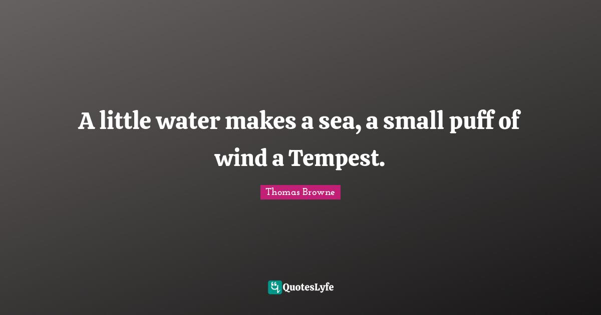 Tempest Quotes: "A little water makes a sea, a small puff of wind a Tempest."