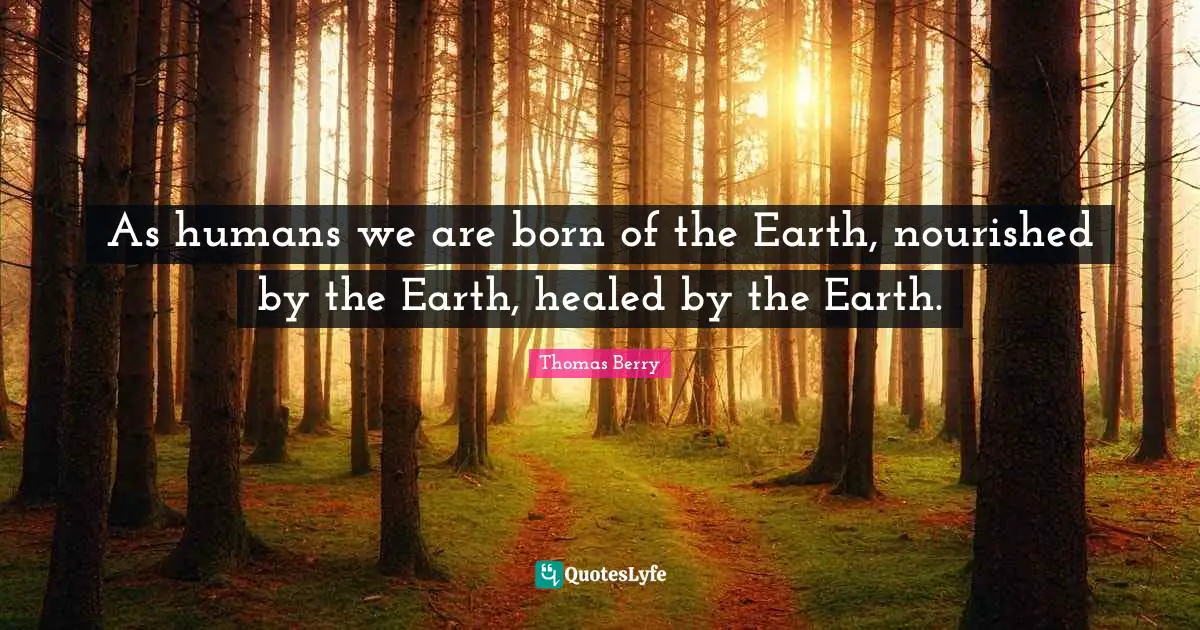 As humans we are born of the Earth, nourished by the Earth, healed by the Earth.