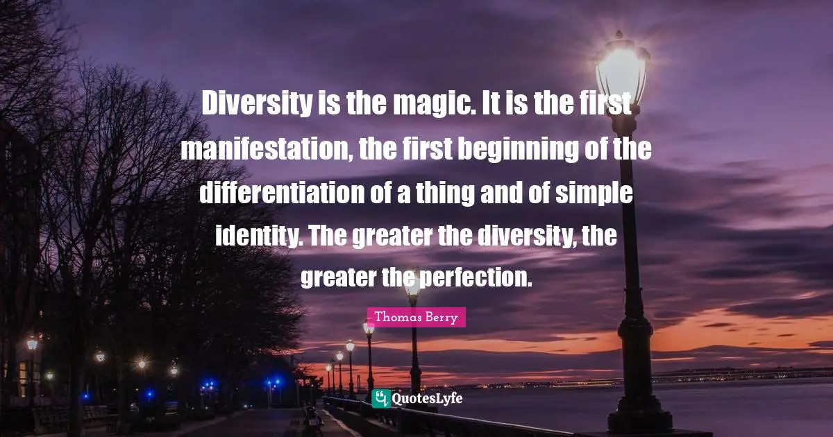Diversity is the magic. It is the first manifestation, the first beginning of the differentiation of a thing and of simple identity. The greater the diversity, the greater the perfection.
