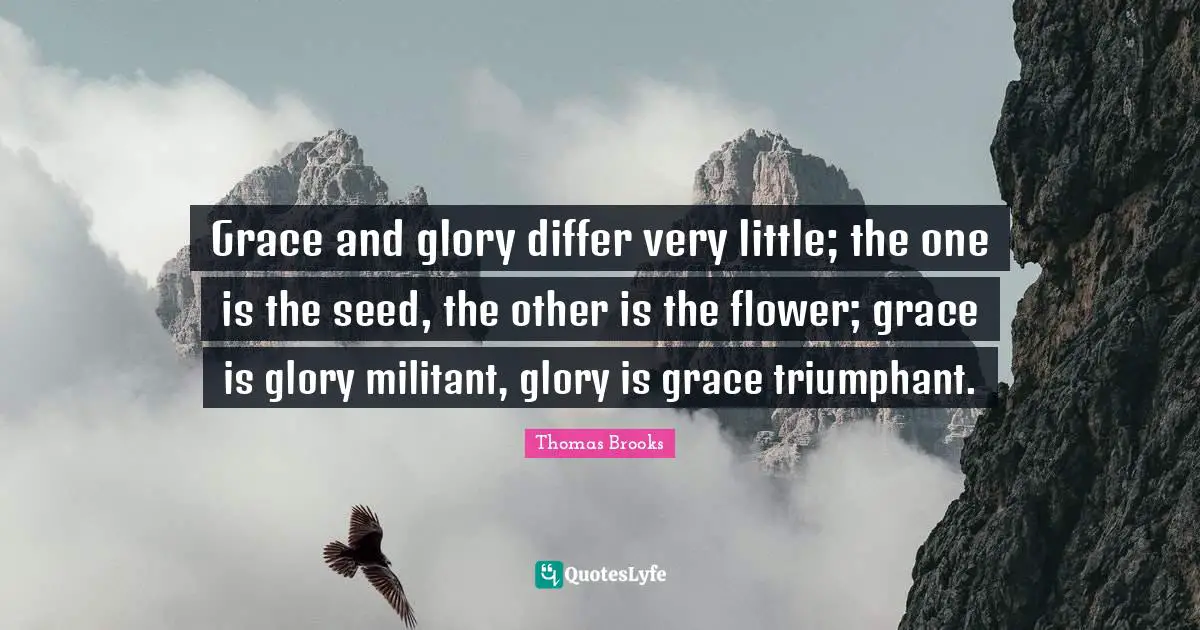 Grace and glory differ very little; the one is the seed, the other is the flower; grace is glory militant, glory is grace triumphant.
