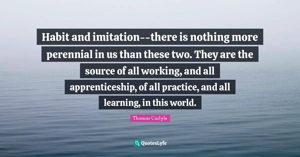Habit and imitation--there is nothing more perennial in us than these two. They are the source of all working, and all apprenticeship, of all practice, and all learning, in this world.