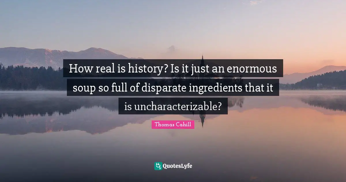 How real is history? Is it just an enormous soup so full of disparate ingredients that it is uncharacterizable?