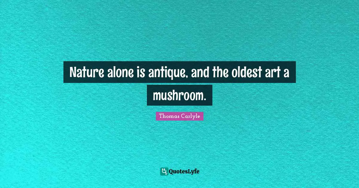Nature alone is antique, and the oldest art a mushroom.