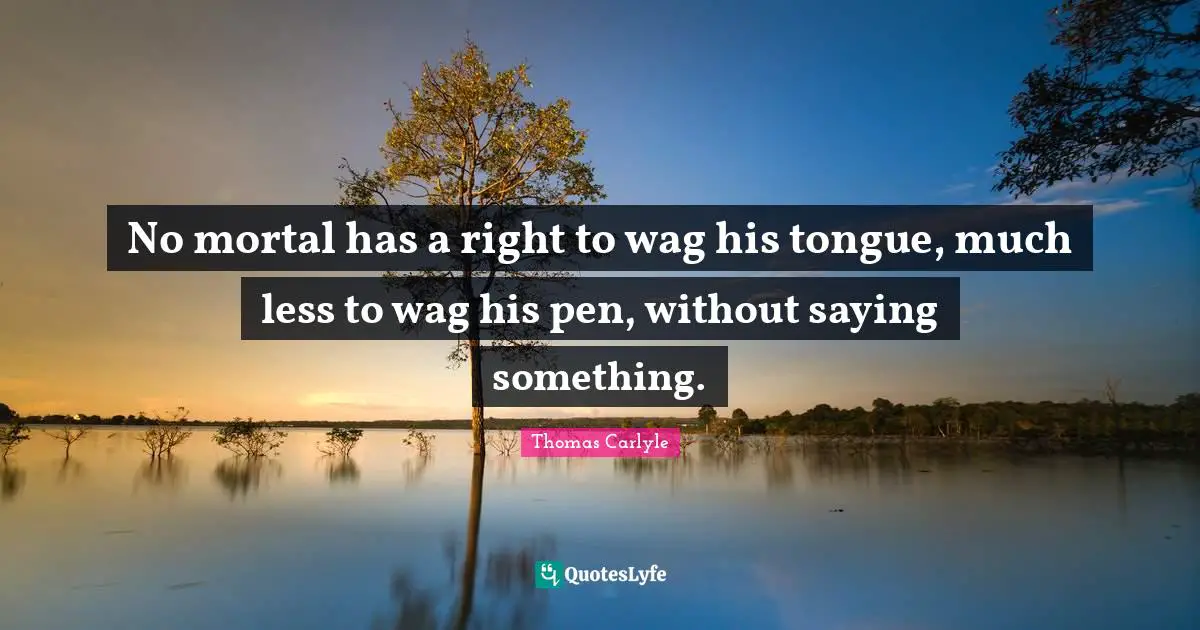 No mortal has a right to wag his tongue, much less to wag his pen, without saying something.