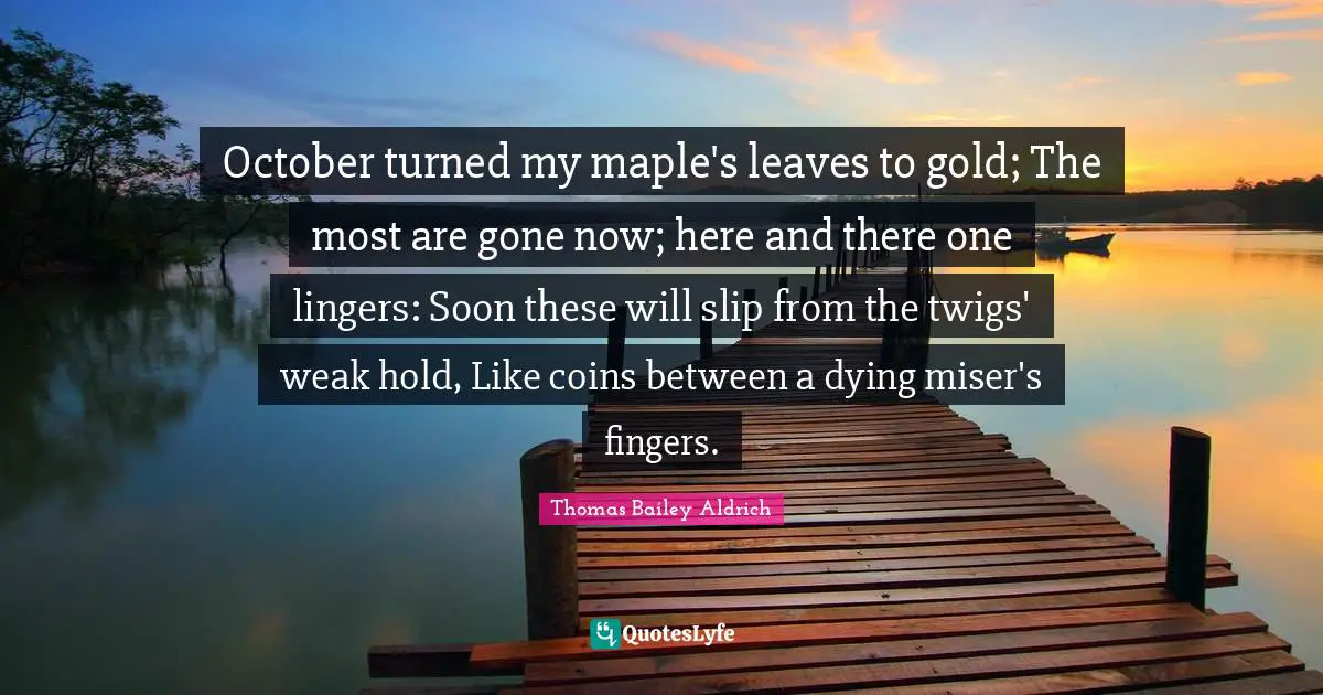 Thomas Bailey Aldrich Quotes: "October turned my maple's leaves to gold; The most are gone now; here and there one lingers: Soon these will slip from the twigs' weak hold, Like coins between a dying miser's fingers."