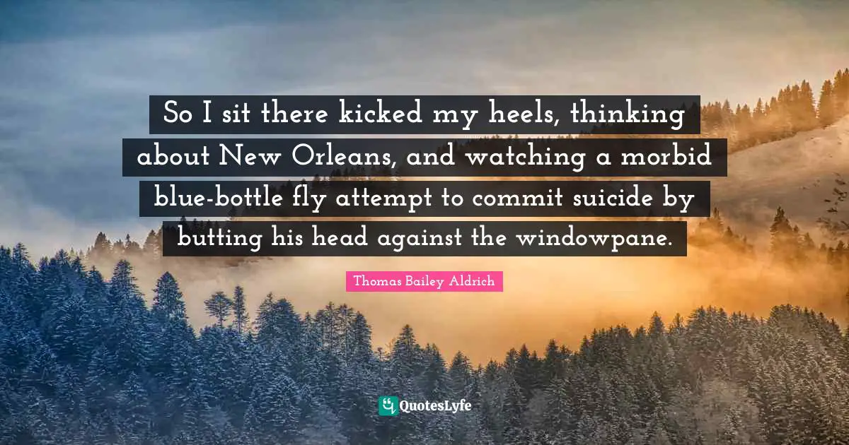 Thomas Bailey Aldrich Quotes: "So I sit there kicked my heels, thinking about New Orleans, and watching a morbid blue-bottle fly attempt to commit suicide by butting his head against the windowpane."