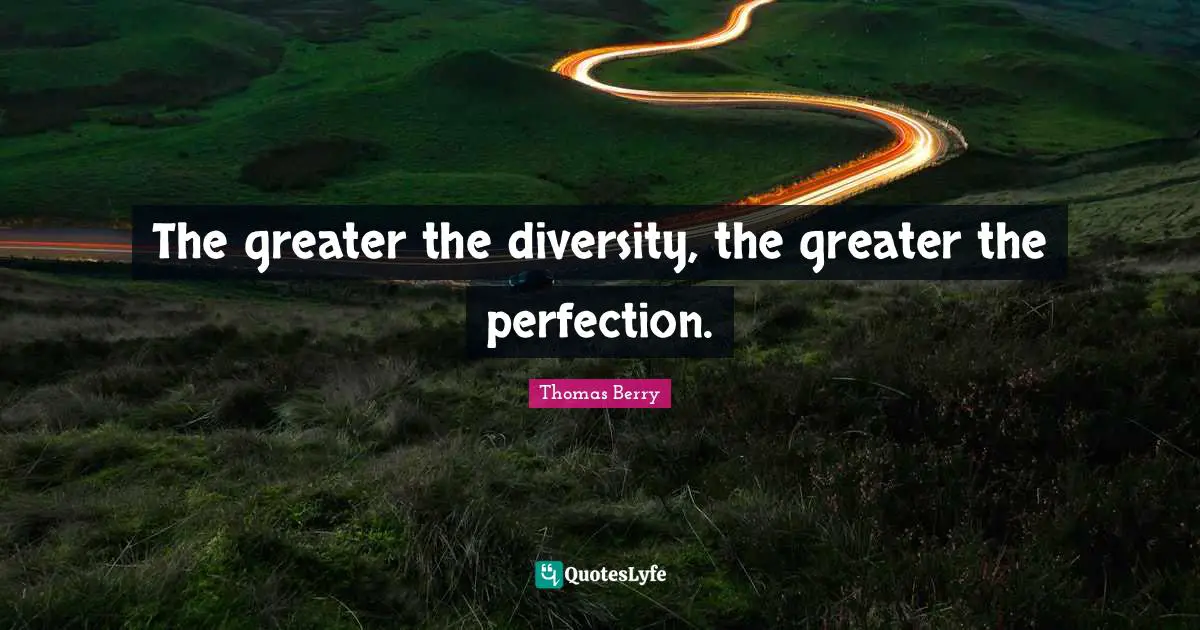 The greater the diversity, the greater the perfection.