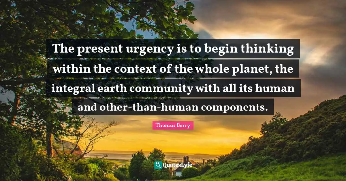 The present urgency is to begin thinking within the context of the whole planet, the integral earth community with all its human and other-than-human components.
