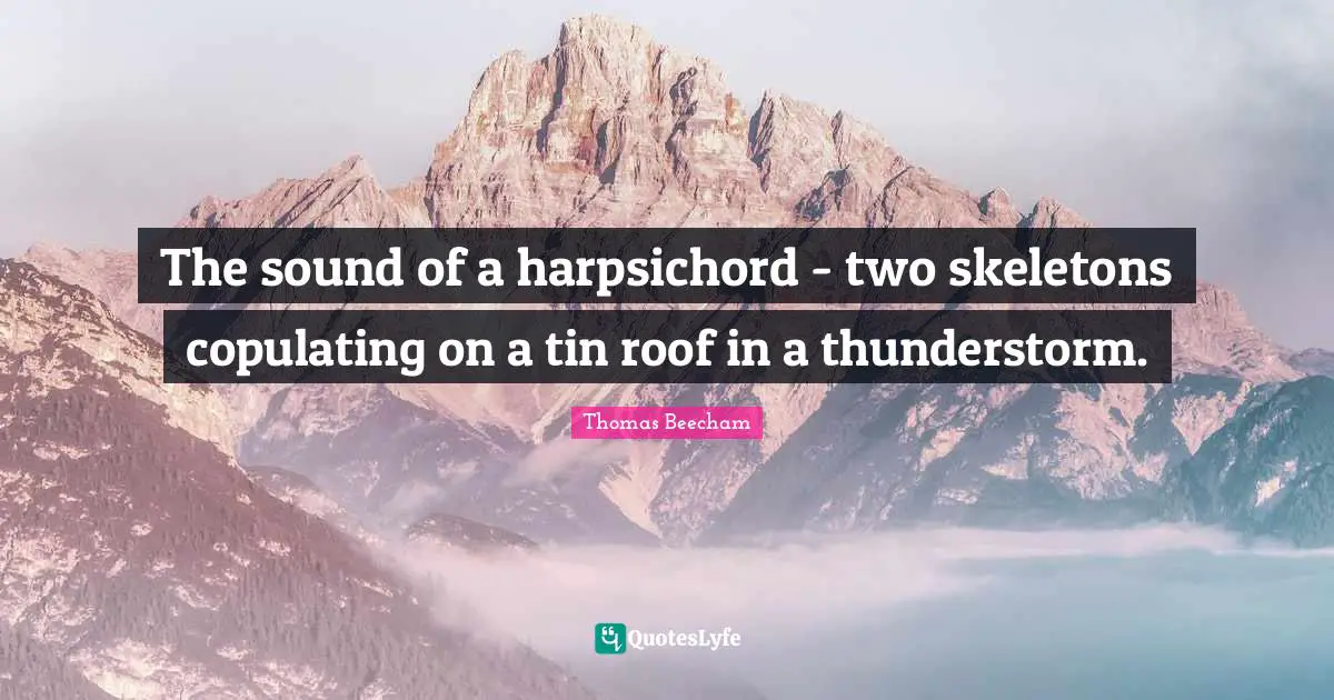 Skeletons Quotes: "The sound of a harpsichord - two skeletons copulating on a tin roof in a thunderstorm."