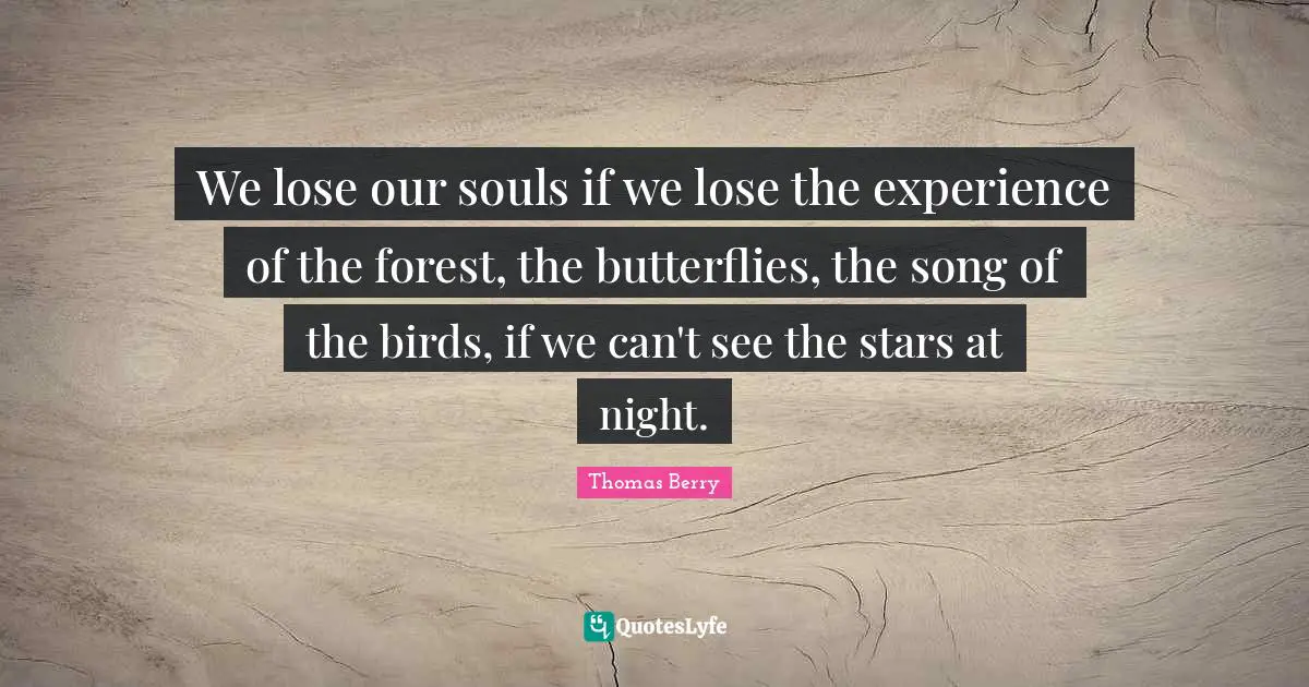 Song Quotes: "We lose our souls if we lose the experience of the forest, the butterflies, the song of the birds, if we can't see the stars at night."