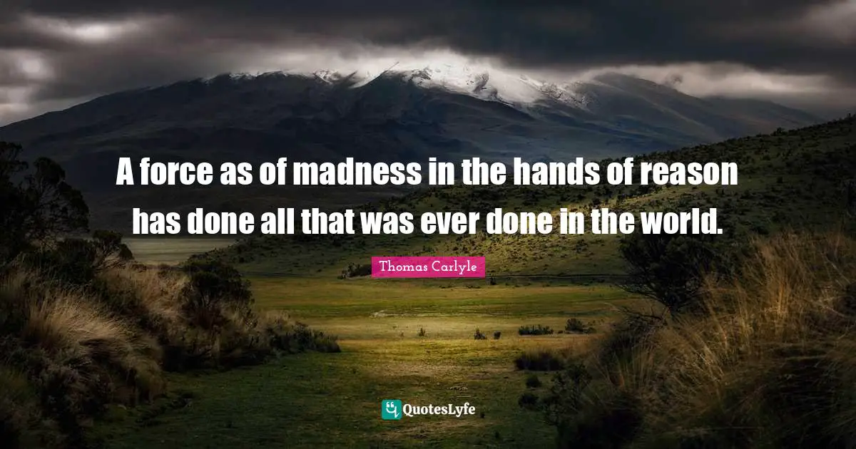 A force as of madness in the hands of reason has done all that was ever done in the world.