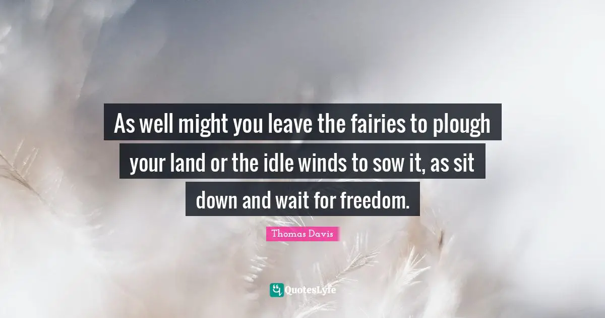 As well might you leave the fairies to plough your land or the idle winds to sow it, as sit down and wait for freedom.