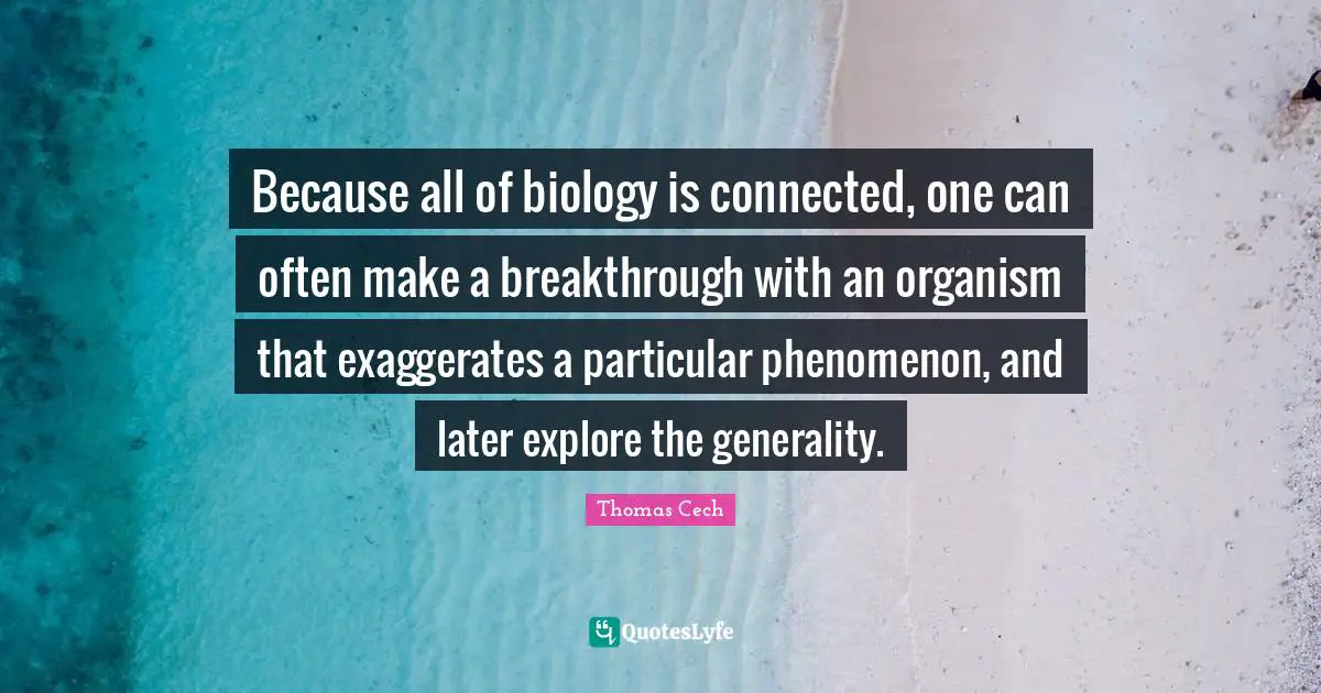 Because all of biology is connected, one can often make a breakthrough with an organism that exaggerates a particular phenomenon, and later explore the generality.