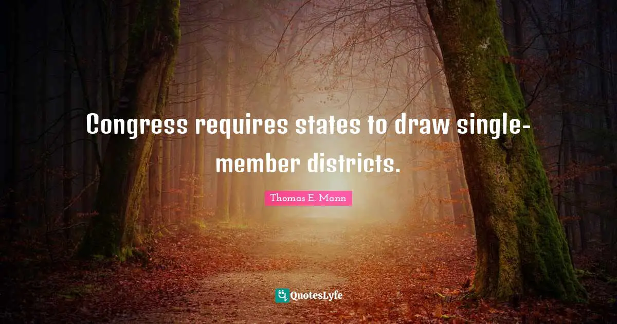 Congress requires states to draw single-member districts.