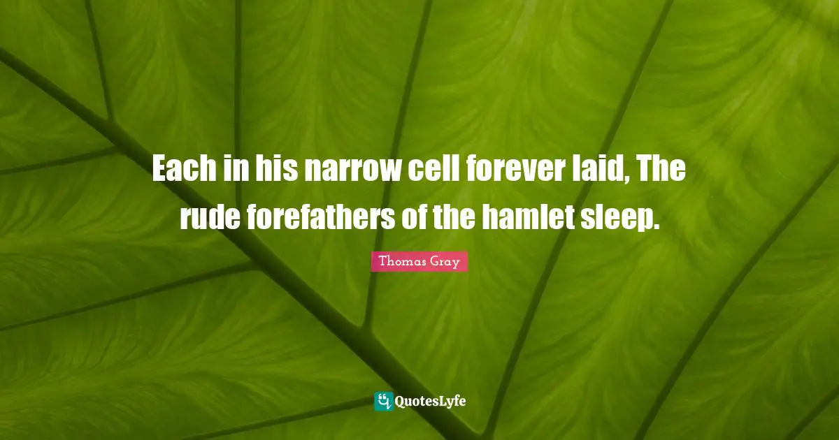Each in his narrow cell forever laid, The rude forefathers of the hamlet sleep.