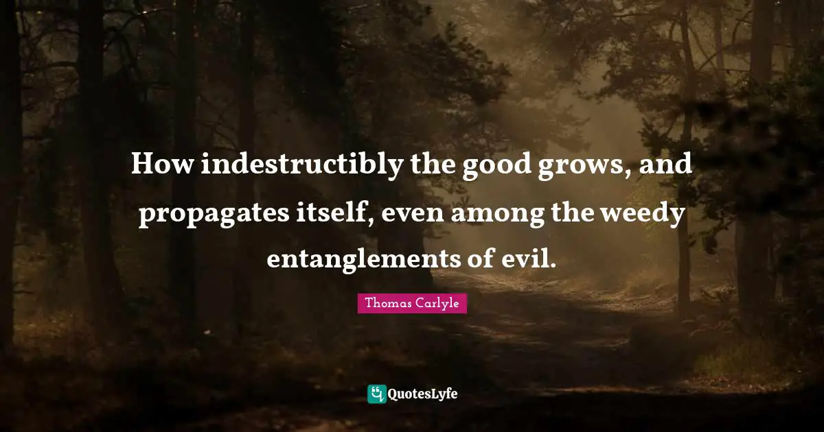 How indestructibly the good grows, and propagates itself, even among the weedy entanglements of evil.