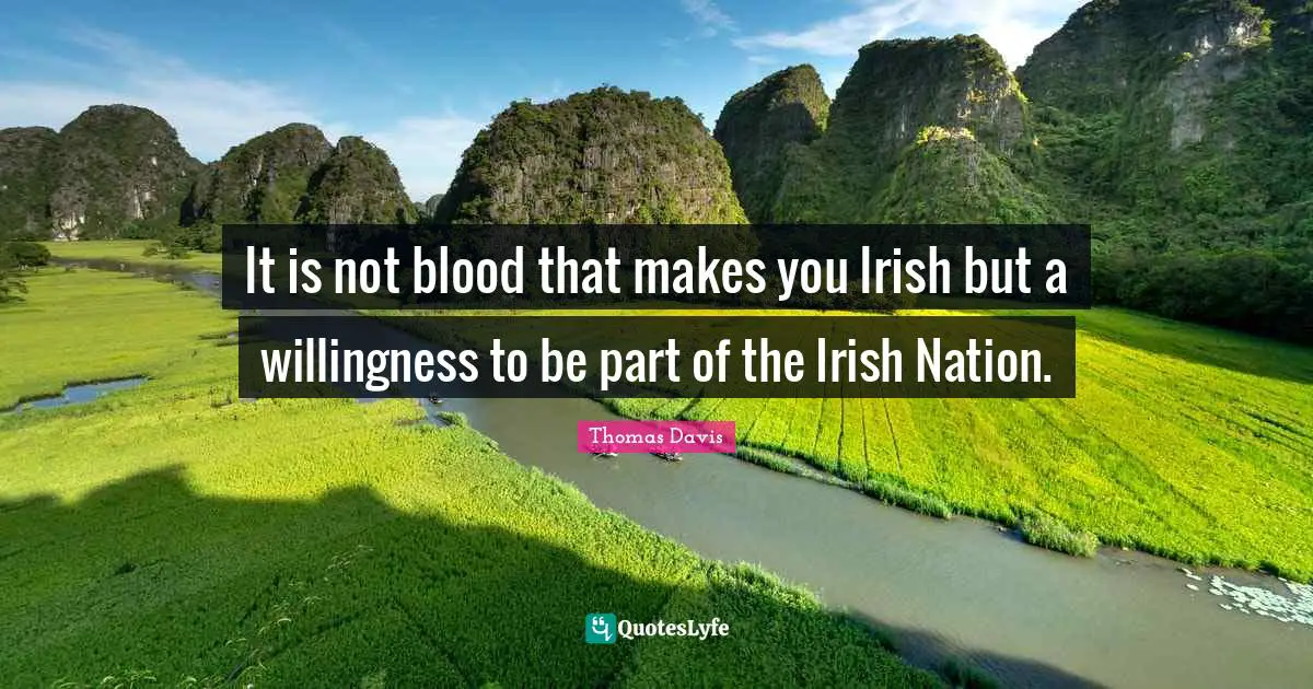 It is not blood that makes you Irish but a willingness to be part of the Irish Nation.
