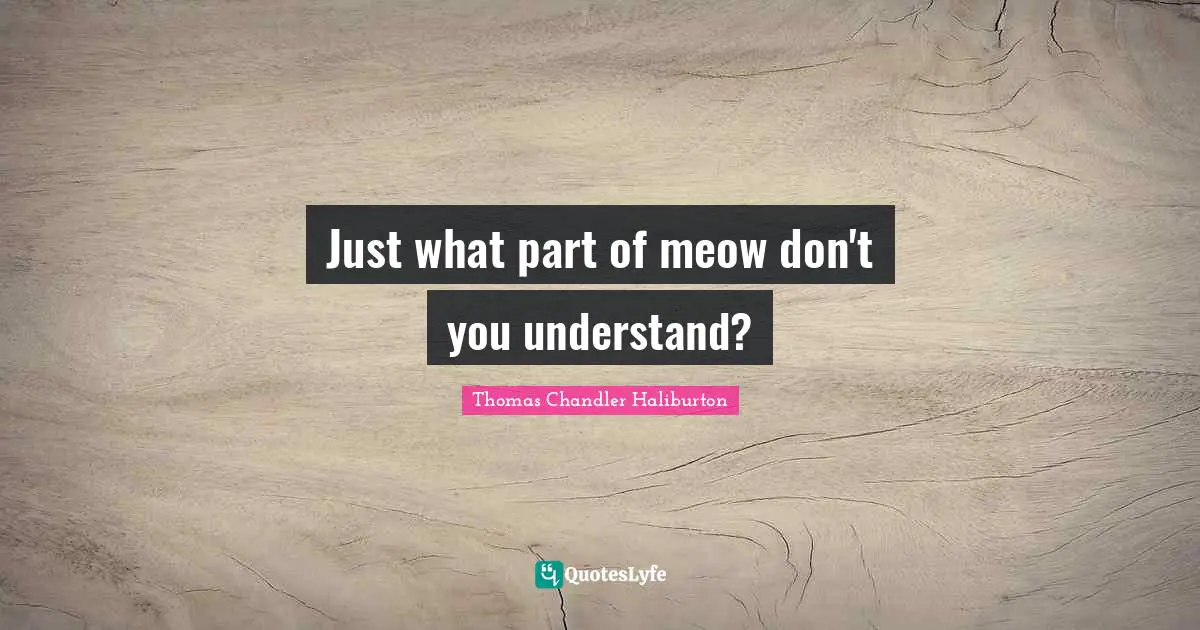 Just what part of meow don't you understand?