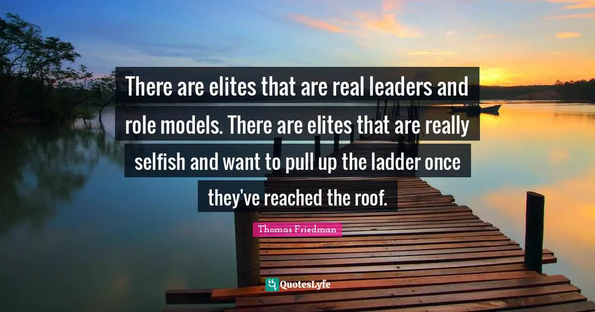 Thomas Friedman Quotes: "There are elites that are real leaders and role models. There are elites that are really selfish and want to pull up the ladder once they've reached the roof."